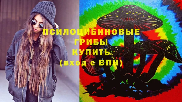 винт Алексеевка