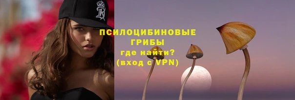 ешки Арсеньев