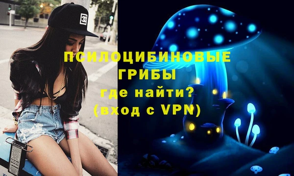 mix Алексин